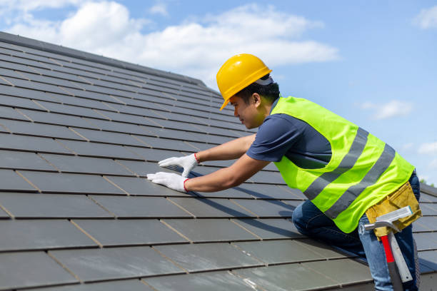 Best Local Roofing Companies  in Bellevue, WA