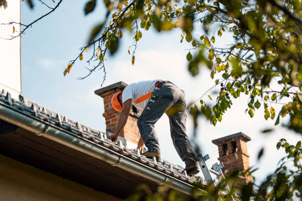 Best Affordable Roofing Company  in Bellevue, WA