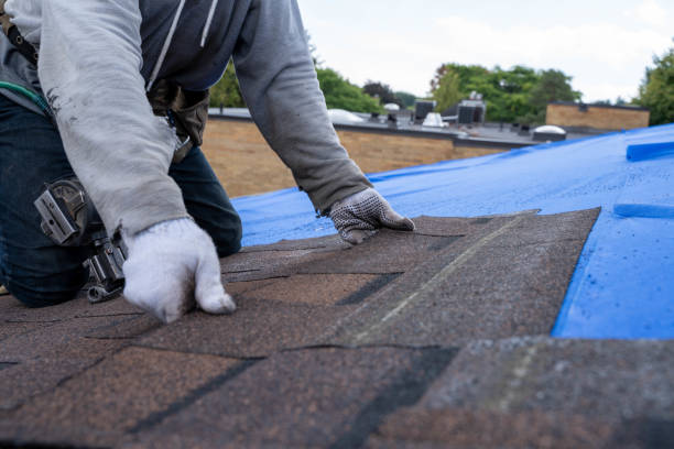 Quick and Trustworthy Emergency Roof Repair Services in Bellevue, WA