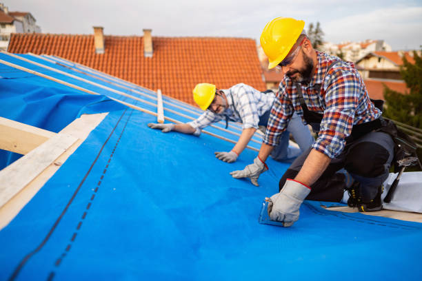Best Roof Gutter Cleaning  in Bellevue, WA